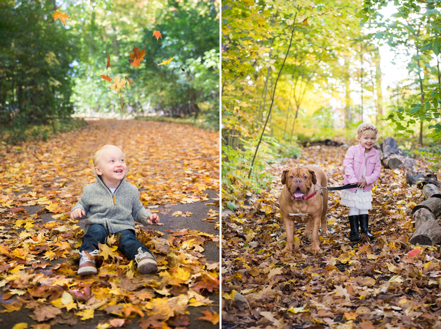family photographers in london ontario, family photos and london ontario, london ontario family photographers, london ontario and family portraits, fall mini sessions and london ontario, springbank park, life is beautiful photography