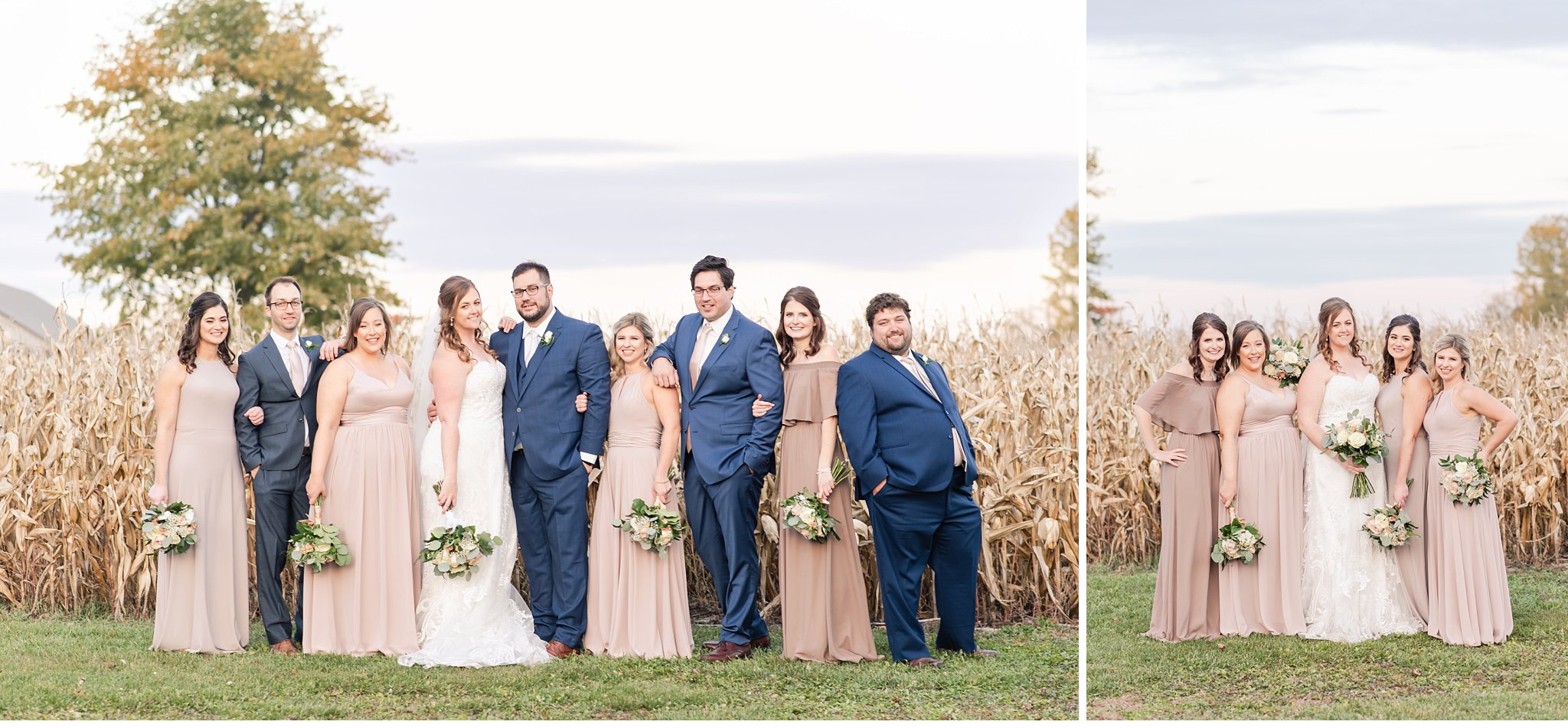 wedding party in a cornfield at sunset