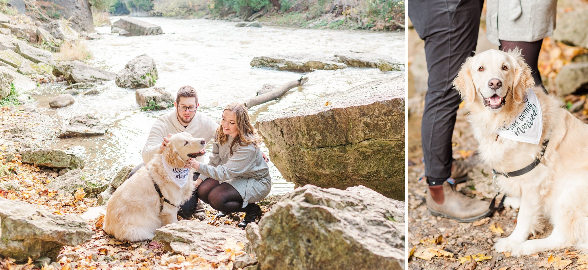 a couple snuggles with their dog during their engagement session at elora gorge