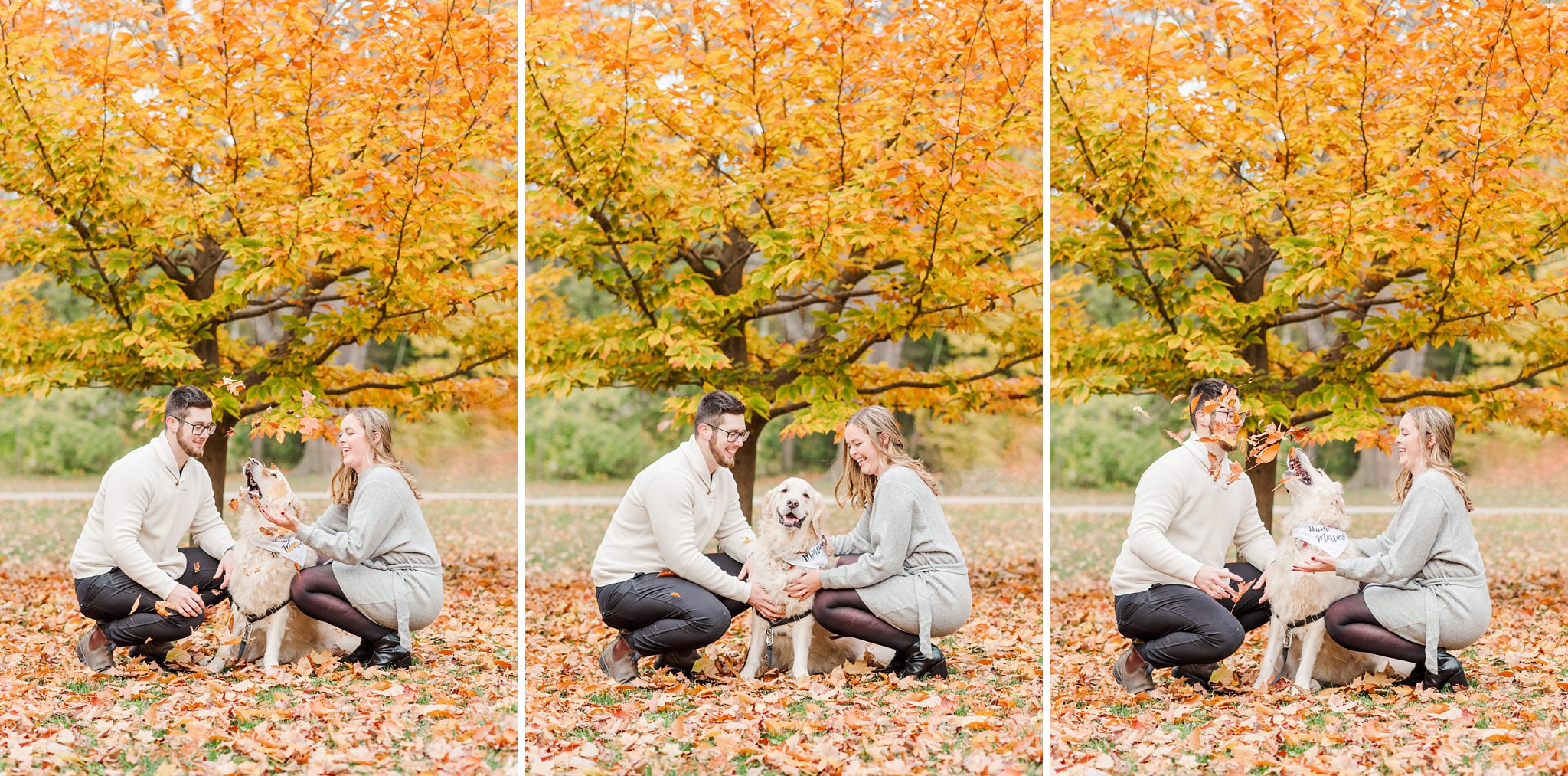 an engaged couple plays with their dog in the fall leaves