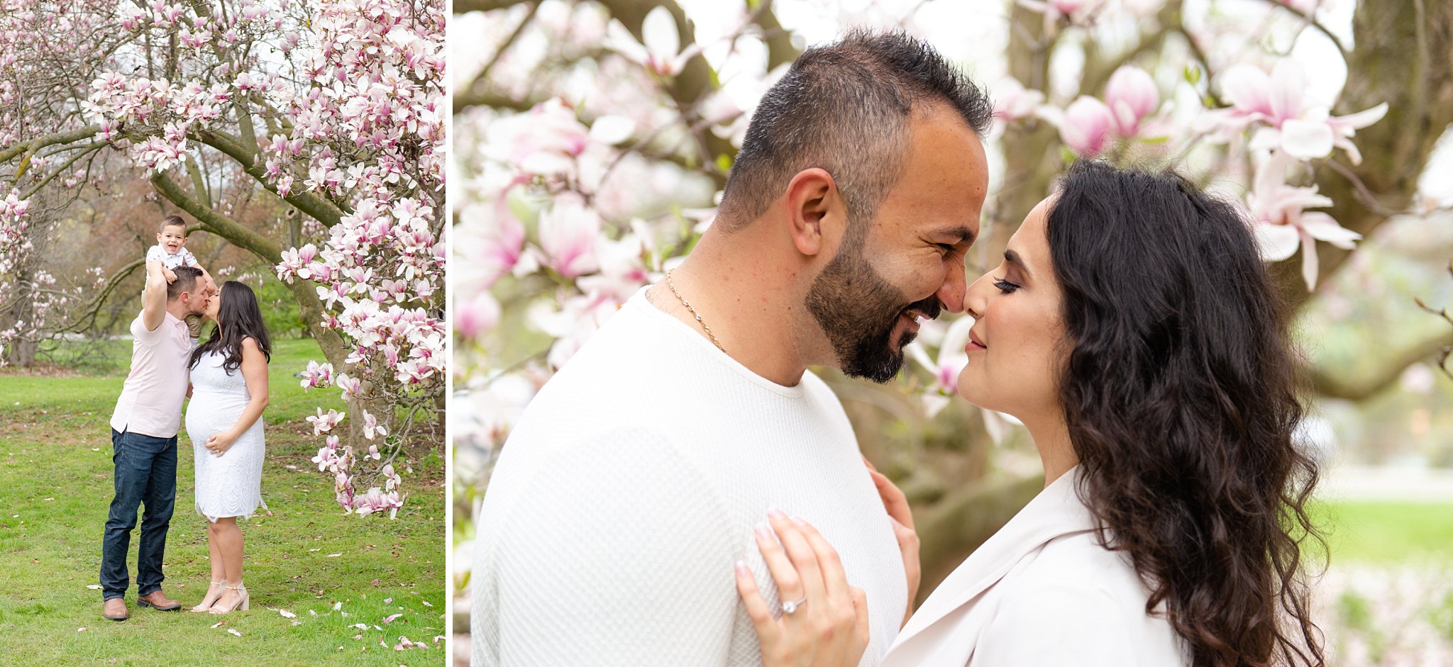 a couple kisses in front of a magnolia tree in springbank park