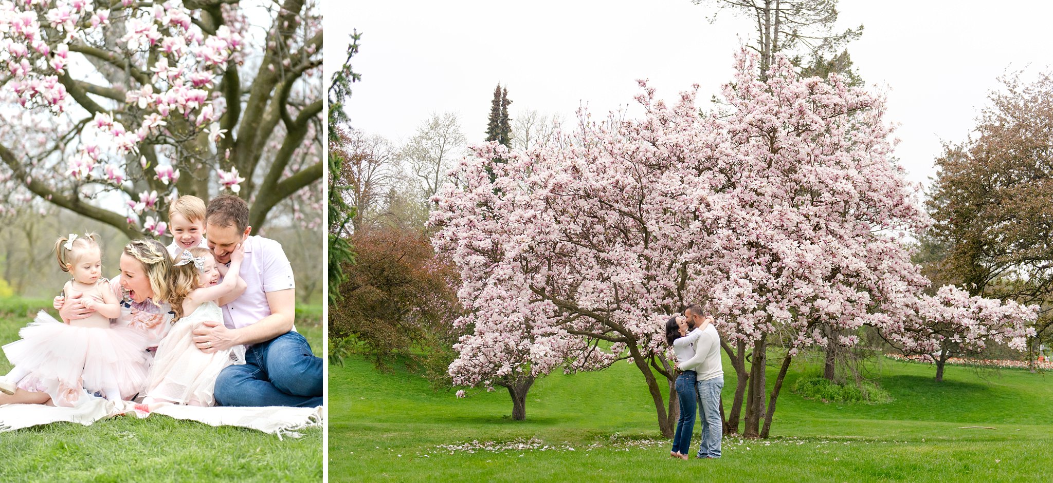 a family laughs together while sitting on the grass; a couple kisses in front of a magnolia tree at springbank park by london ontario family photographer life is beautiful photography