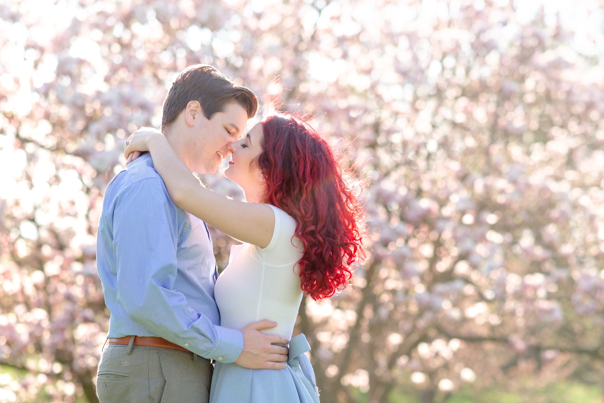 a couple leans in for a kiss in front of a magnolia tree in springbank park