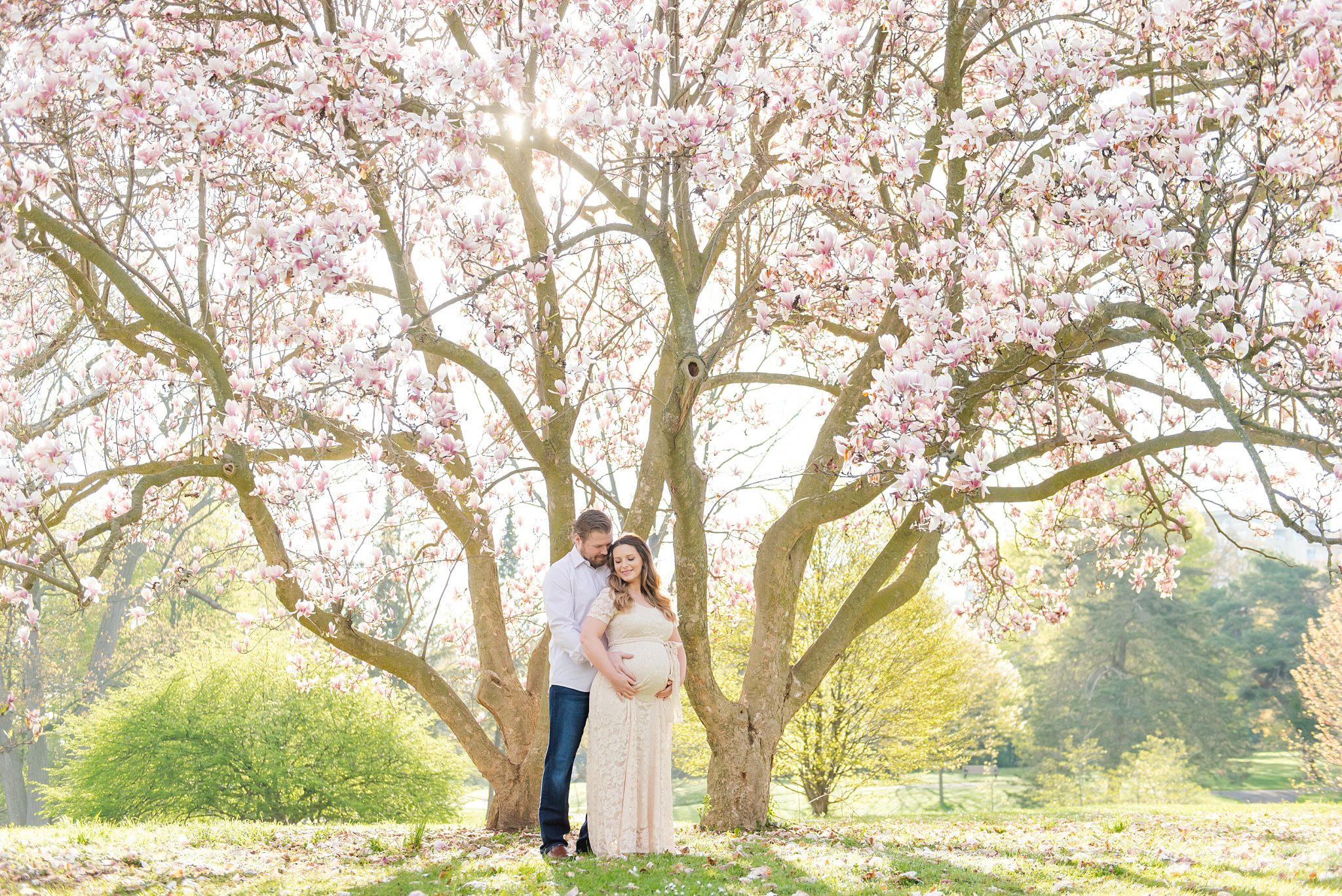 a couple wraps their arms around each other under a magnolia tree in springbank park by london ontario family photographer life is beautiful photography