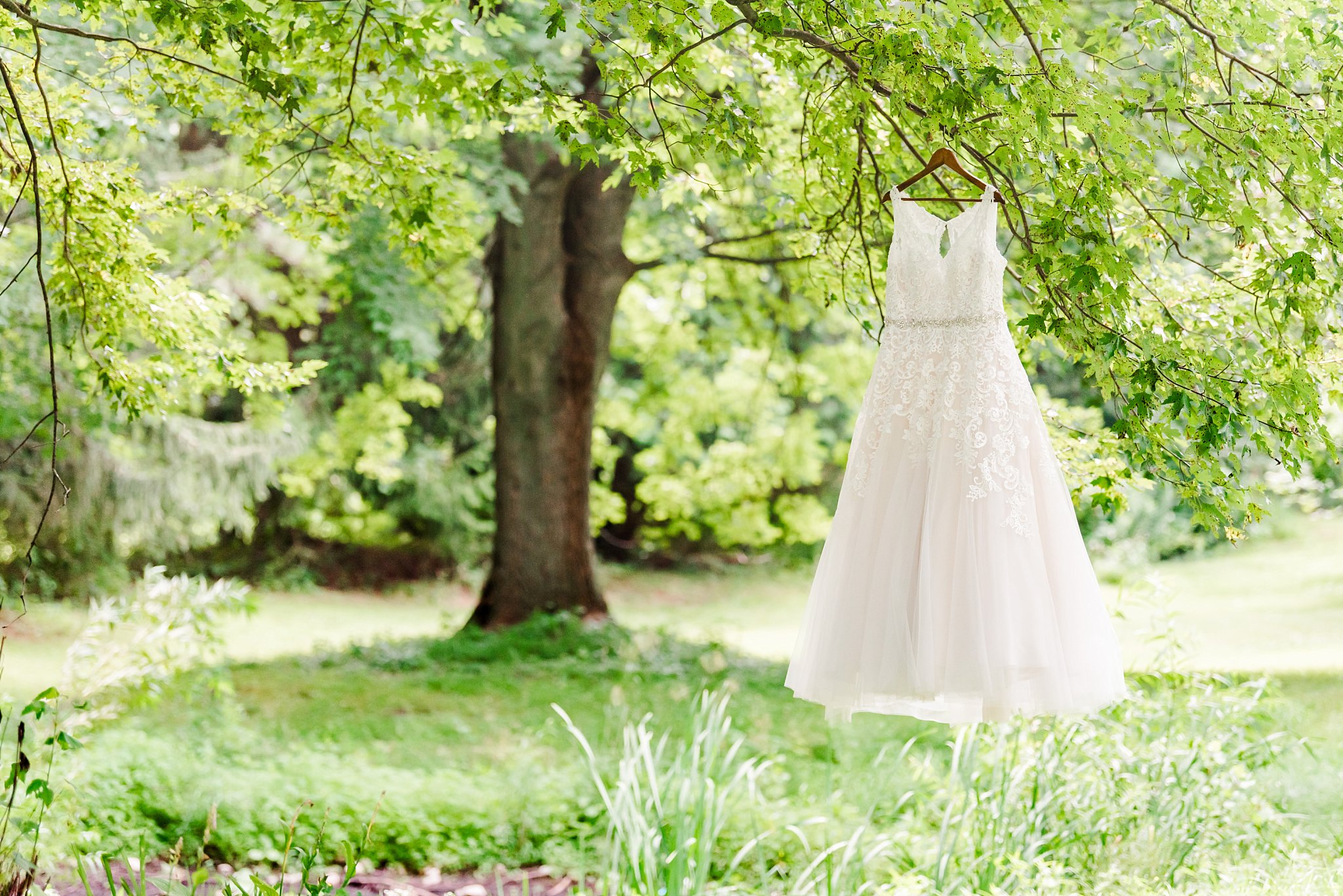 a wedding dress hangs in a tree at fernwood hills