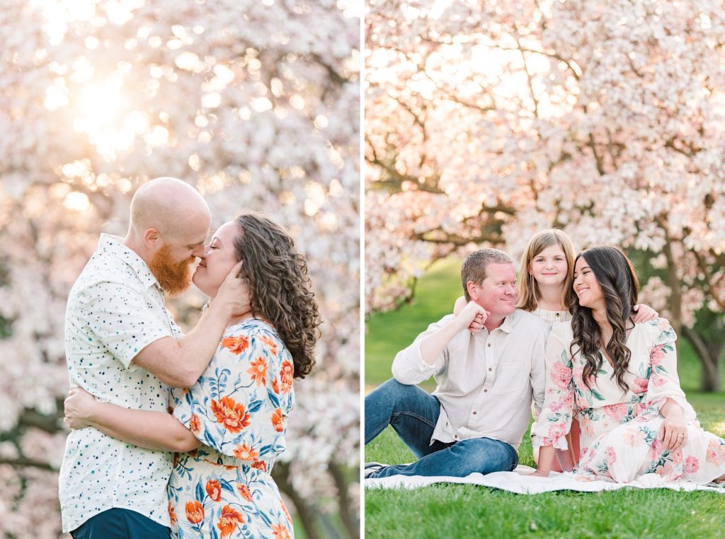 a couple leans in for a kiss in front of magnolia trees in springbank park at sunset by london ontario photographer life is beautiful photography