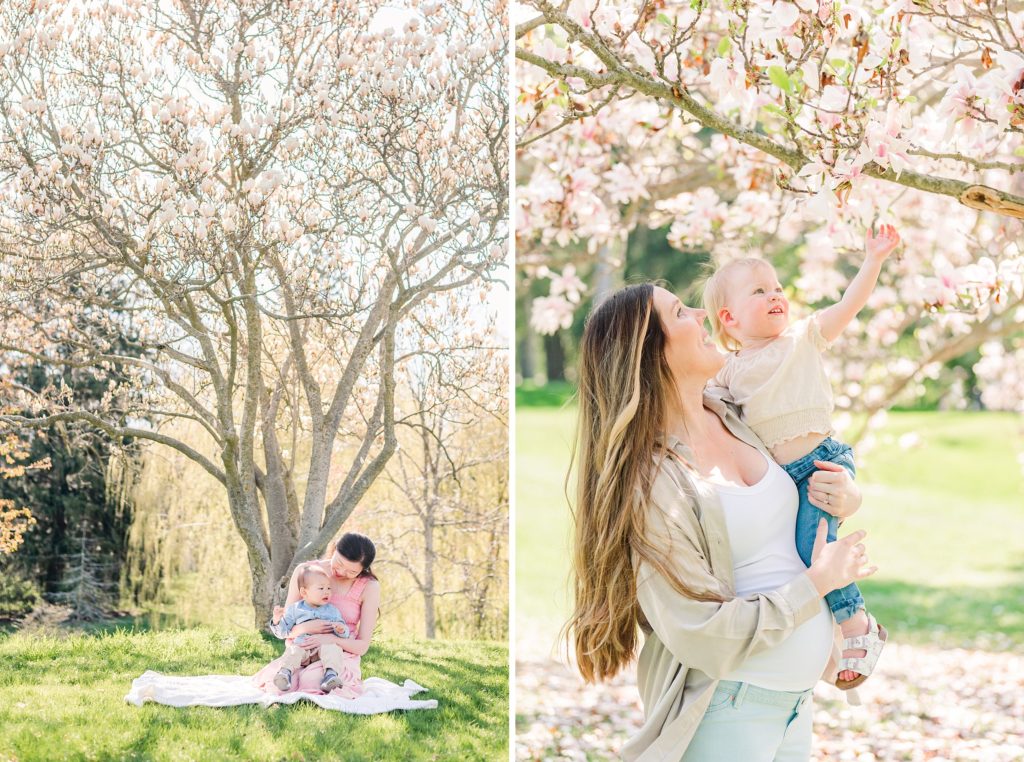 a mother holds her daughter up as she reaches for a flower on a magnolia tree in springbank park by london ontario photographer life is beautiful photography
